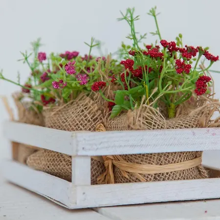 Apartman Typical Light Filled Graca W Ac, By Timecooler Lisboa