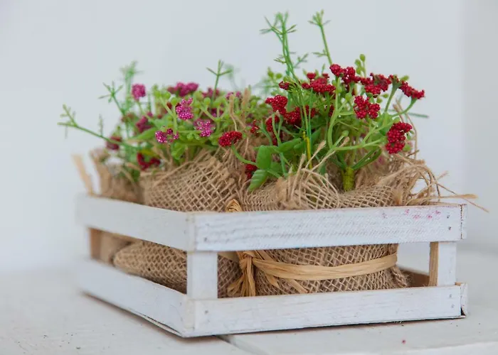 Διαμέρισμα Typical Light Filled Graca W Ac, By Timecooler Lisboa